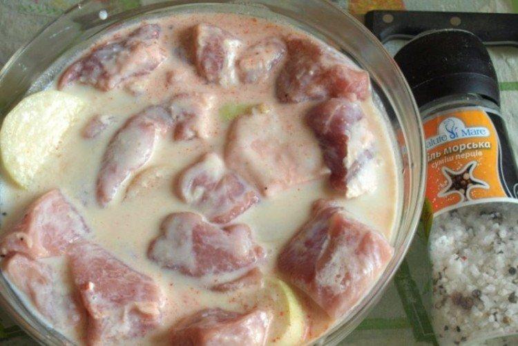 Yogurt Marinade for Pork Shashlik with Curry - Recipes