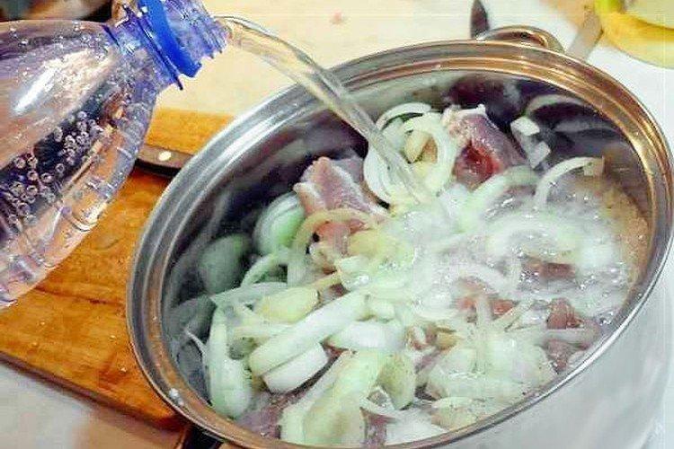 Pork Shashlik Marinade with Soda - Recipes