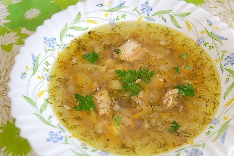 Sopa de pescado de saury enlatado en aceite - recetas