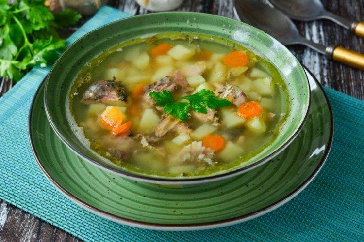 Sopa de caballa en aceite - Recetas de sopa de pescado enlatado