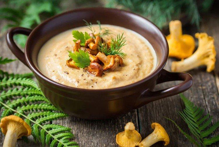 Chanterelle Cream Soup - Delicious Recipes