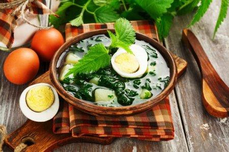 12 leichte Brennnesselsuppen für diesen Sommer