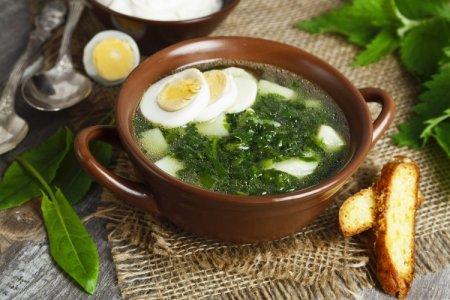 12 einfache und leckere Sauerampfersuppen mit Ei