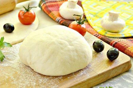 15 Best Pizza Dough Recipes