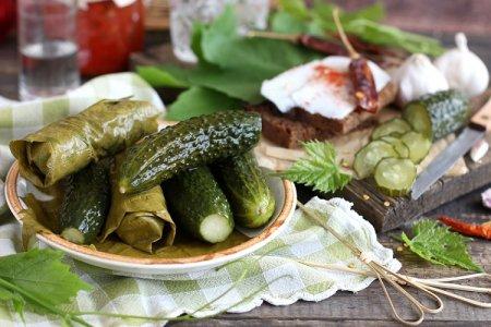 20 Simple and Delicious Recipes for Lightly Salted Cucumbers