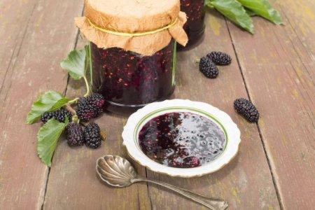 20 Rezepte für einfache und leckere Maulbeermarmelade