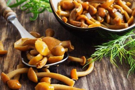 20 Delicious Marinated Mushroom Recipes