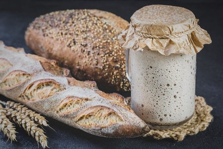 20 Simple Sourdough Starter Recipes for Homemade Bread
