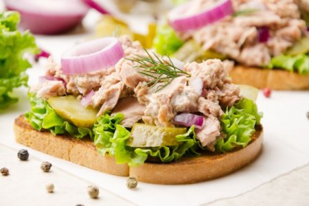 20 sándwiches de atún que son muy fáciles de preparar