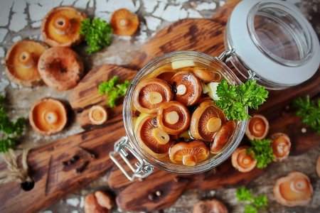 Wie man Reizker für den Winter einlegt: 8 Rezepte für zu Hause