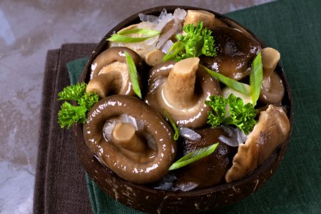 Milchlinge einlegen: 10 tolle Rezepte für den Winter