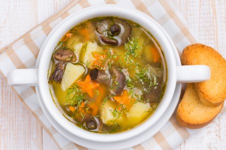 Sopa de setas de miel: 15 recetas sencillas y deliciosas