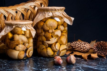 Champiñones encurtidos para el invierno: 15 recetas geniales