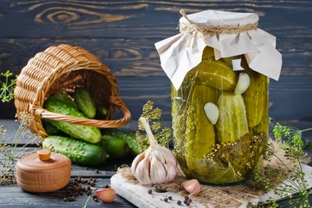 Pepinos picantes para el invierno: 15 recetas fáciles para todos los gustos