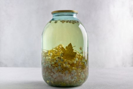 15 einfache Rezepte für weißen Johannisbeerkompott für den Winter