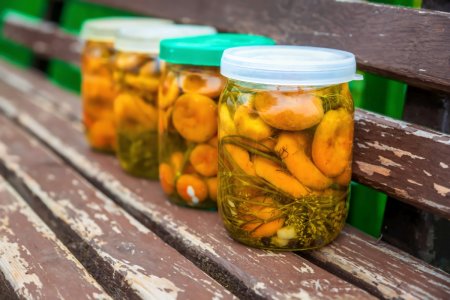 Setas de leche encurtidas para el invierno: 12 recetas sencillas
