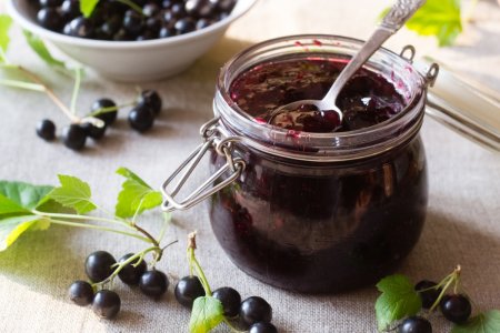 15 Amazing Blackcurrant Confiture Recipes