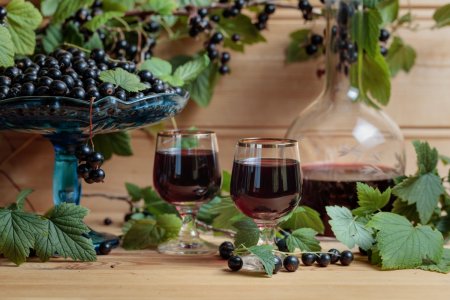 20 mejores recetas de vino de grosella negra