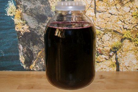 20 tolle Rezepte für Felsenbirnenkompott