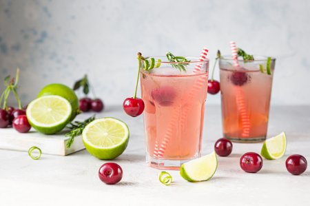 20 Original Mojito Compote Recipes for Winter