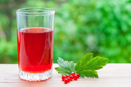 20 mejores recetas de zumo de grosella roja