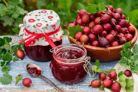 20 deliciosas recetas de mermelada de grosella espinosa