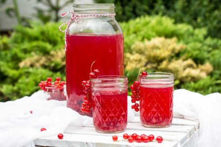 15 excelentes recetas de compota de grosella roja y negra