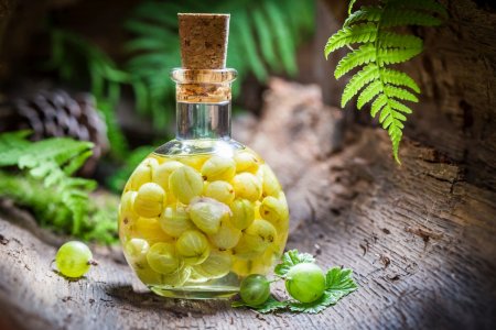 10 excelentes recetas de licor de grosella espinosa