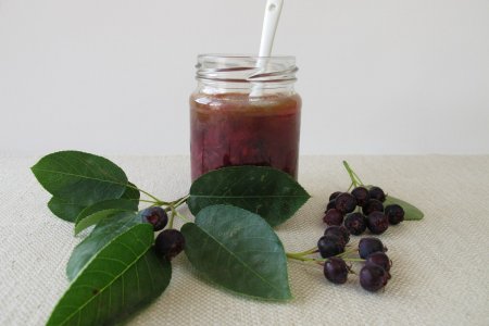 15 Rezepte für die leckerste Felsenbirnenmarmelade