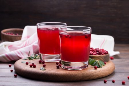 15 Rezepte für Preiselbeersaft, die jedem schmecken werden
