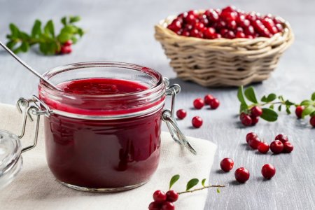 Lingonberries for Winter: 20 Best Preservation Recipes