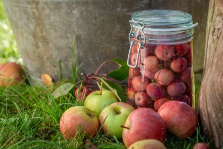 20 tolle Rezepte für Ranetki-Kompott für den Winter