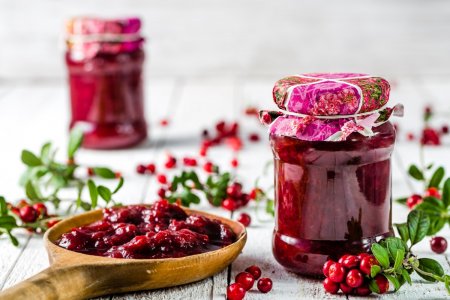 Cranberry for Winter: 20 Recipes for Every Taste