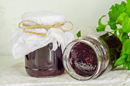 Gelatina de grosella negra con gelatina: 10 recetas rápidas