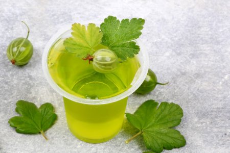10 recetas rápidas de gelatina de grosella espinosa con gelatina