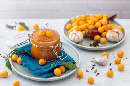 10 salsas de ciruela amarilla que son muy fáciles de preparar