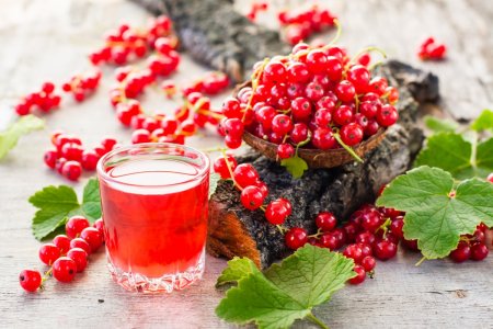 12 deliciosas compotas de grosella roja con naranja