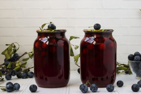 Schlehenkompott: 12 Rezepte, die dich begeistern werden