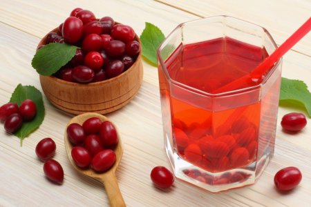 20 schnelle Rezepte für Kornelkirschenkompott