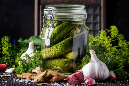 Cold-Pickled Cucumbers for Winter: 20 Simple and Delicious Recipes