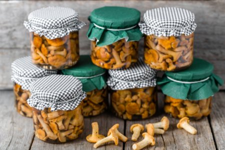 Rebozuelos fritos para el invierno: 8 recetas originales