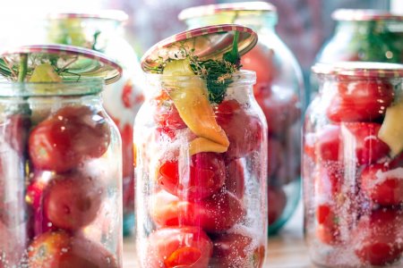 Tomates sous la neige pour l'hiver : 20 excellentes recettes