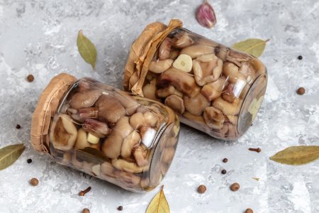 Boletus marinados para el invierno: 15 excelentes recetas