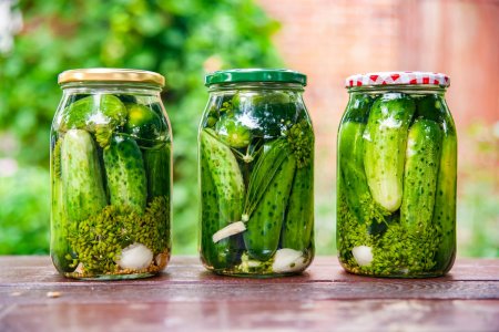 10 mejores formas de preparar pepinos al estilo húngaro para el invierno
