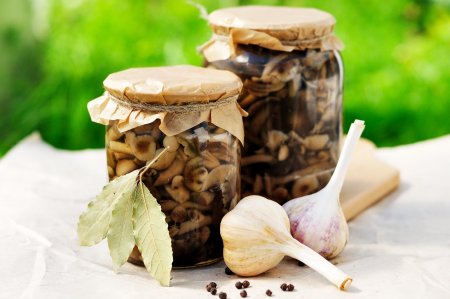Herbsttrompeten für den Winter: 15 schnelle und leckere Rezepte zum Einmachen
