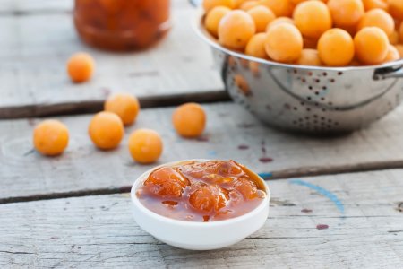 Yellow Plum for Winter: 15 Easy and Delicious Recipes