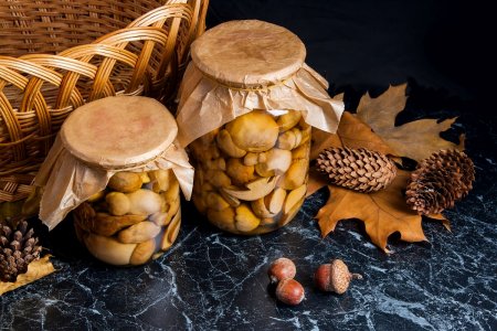 15 Great Recipes for Cooking Suillus Mushrooms