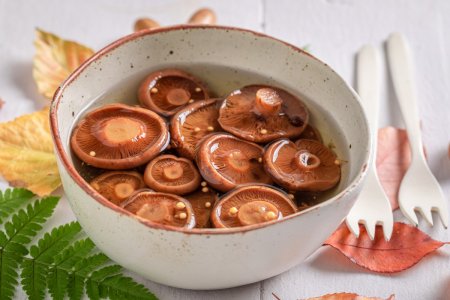 15 recetas fáciles y deliciosas para cocinar setas de azafrán