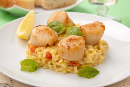 20 recetas deliciosas con vieiras