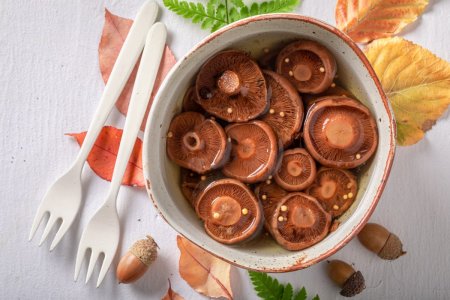 Setas Lactarius deliciosus para el invierno: 12 recetas de preparaciones sencillas y deliciosas